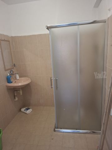 תל צבי 41