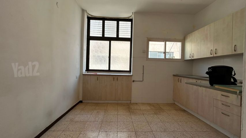 - תמונה 3