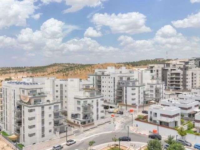 אשכולית 