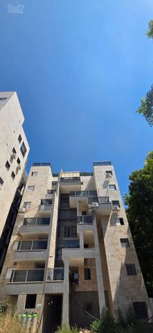 אברהם שפירא 