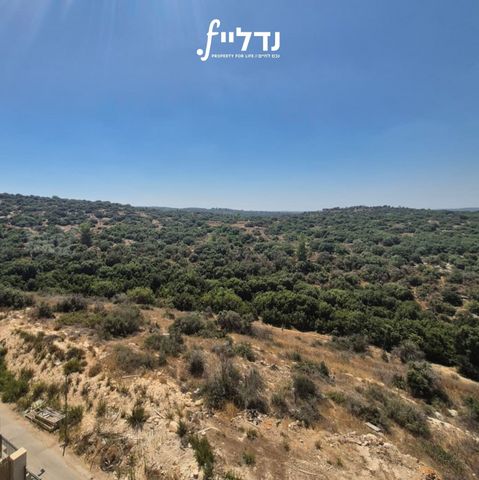 אילפא 4