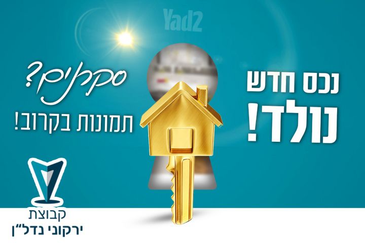 א.ל. זיסו 
