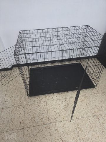 תמונת מודעה - חיות מחמד