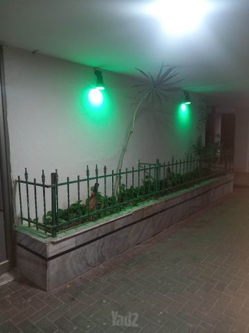 הנרייטה סולד 115