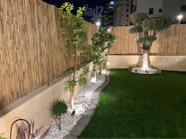 דליה רביקוביץ 8