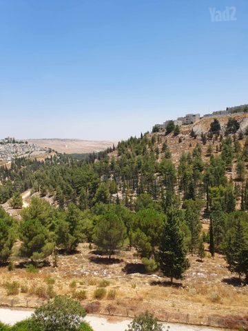 מזל אריה 8