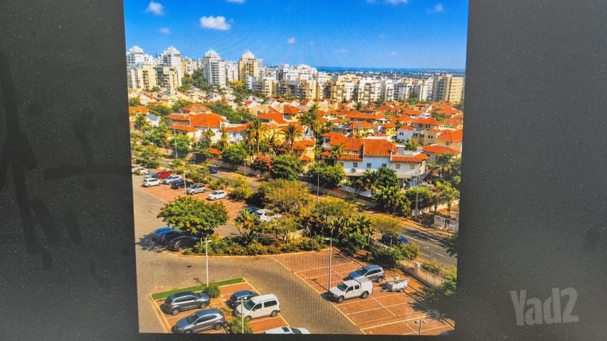 מעגל השלום 13