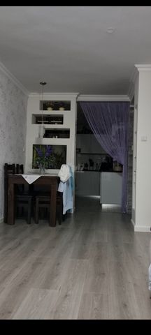 קפלן 31