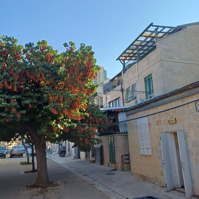 זכרון טוביה 23