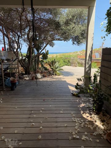 בית פרטי/ קוטג' להשכרה בתל אביב יפו — 4