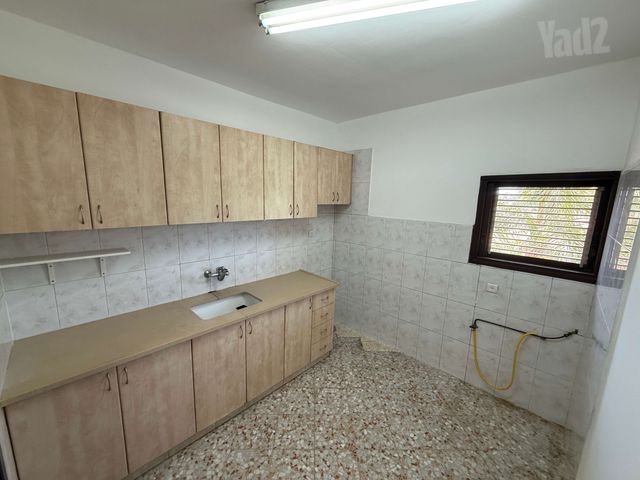 לוז 29