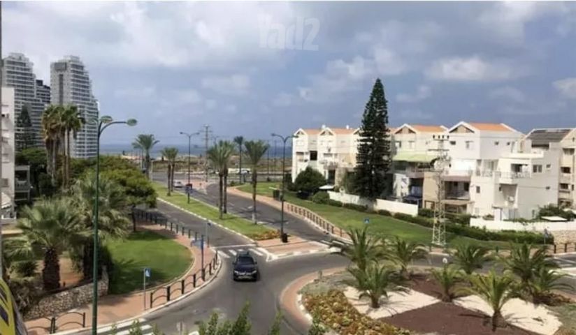 אירוס הארגמן 