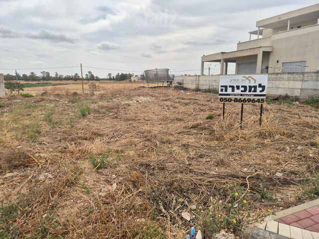 מגרשים, אומן