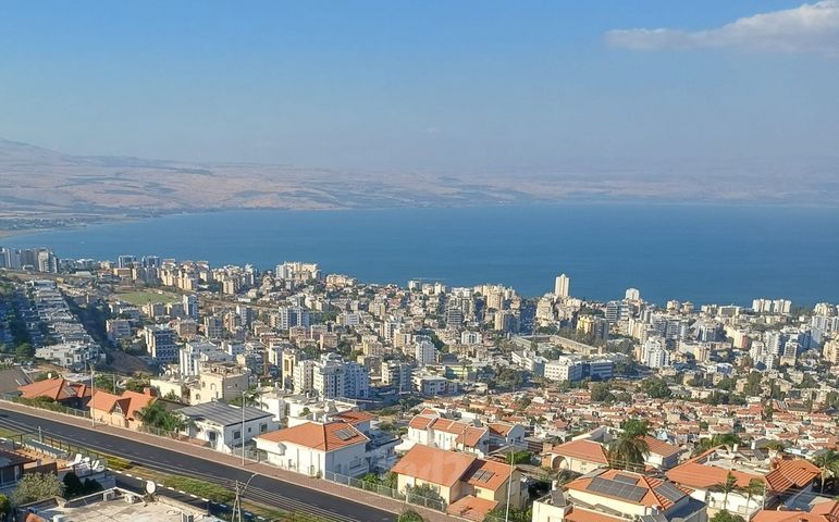 רקפת 36