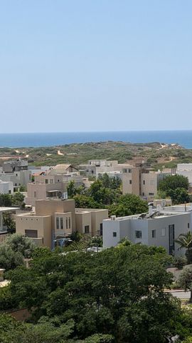 הצוקים 