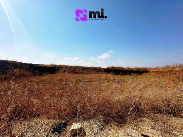 מגרשים