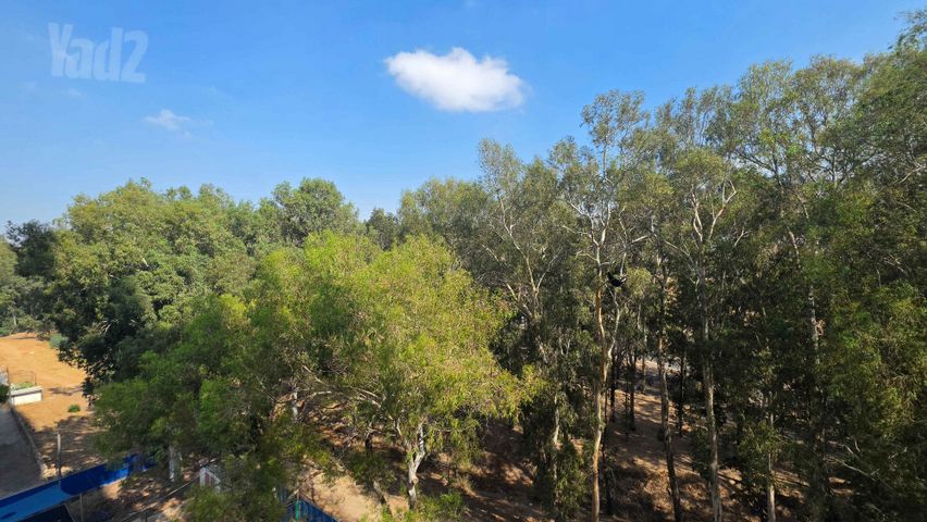 Ramat Gan, Israel 6