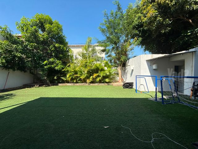 Holon, Israel 13