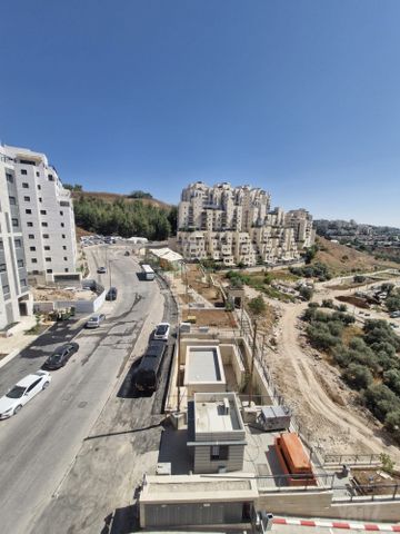 שמעון מישורי 