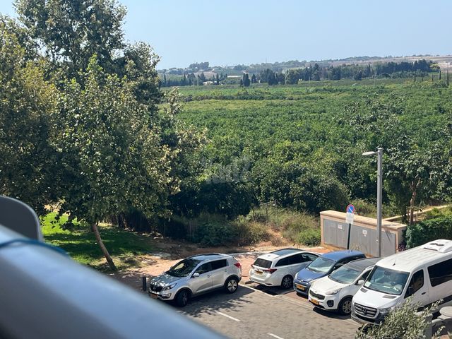 חייקה גרוסמן 