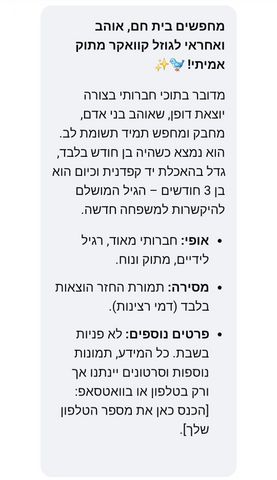 תמונת מודעה - חיות מחמד