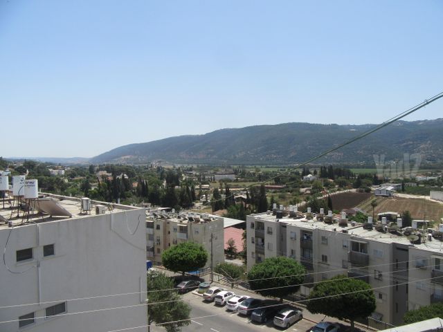 הורדים 4