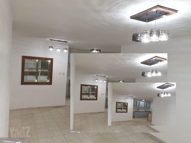 אשוח 6