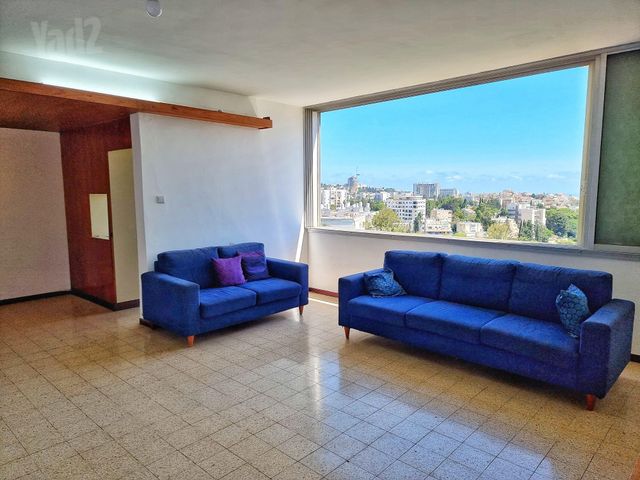 אורן 38