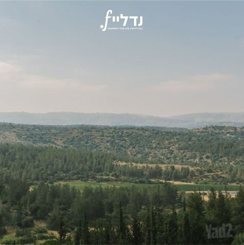 האחים 4
