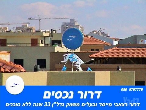אלכסנדר זייד 34