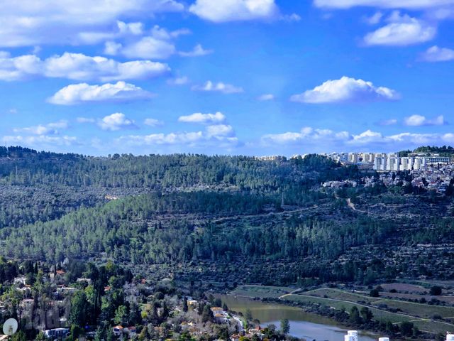 פרנס 