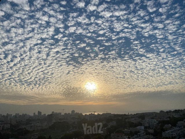 Tel Aviv-Yafo, Israel 8
