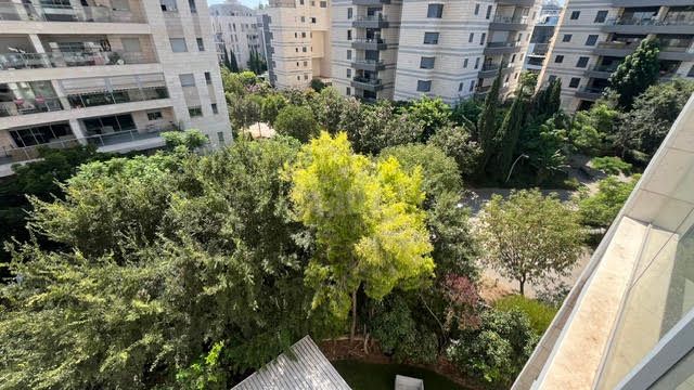 זליוונסקי 