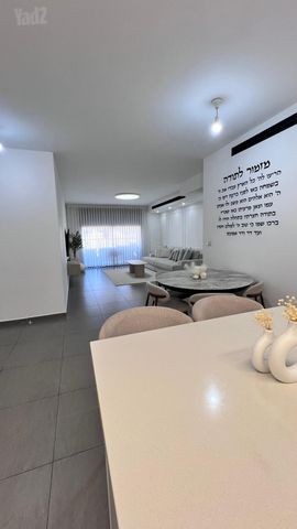 משה לוי 