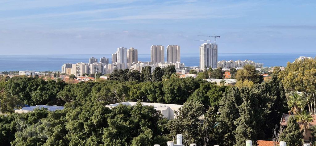 יוסף פינס 