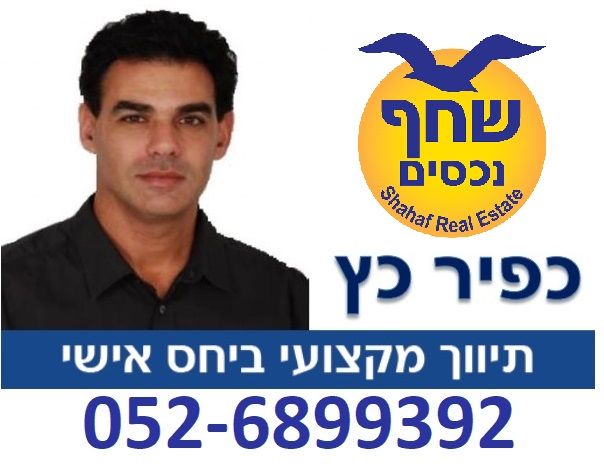 נווה דקלים