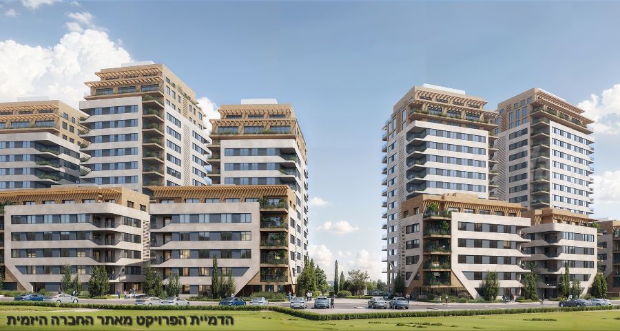 הארזים 