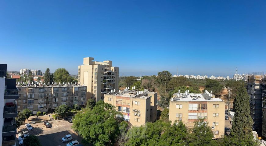 בנימין פיין 