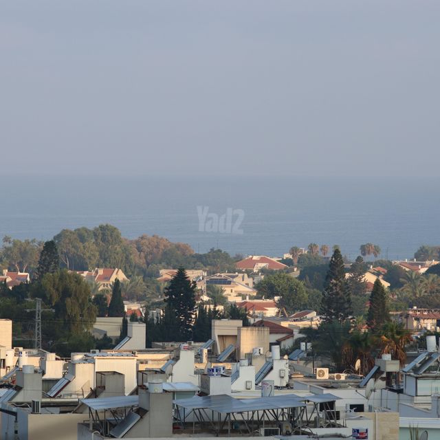 משה שרת 30
