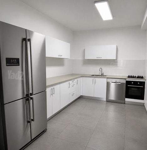 משה לוי 3