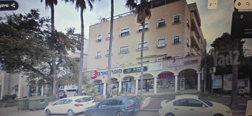 הדקלים 14