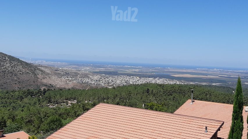 דרך הדרור 1