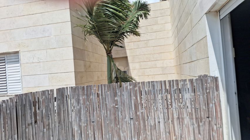 נורדאו 1