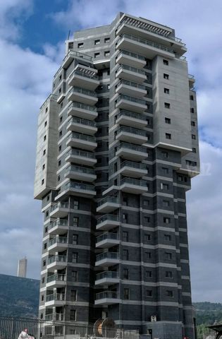 דוכיפת 11