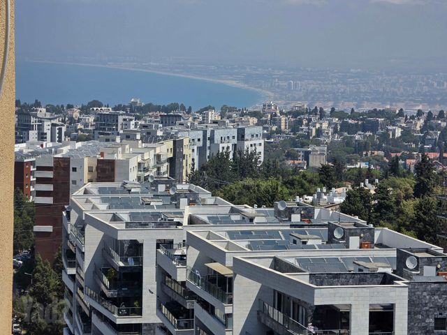 יהודה בורלא 12