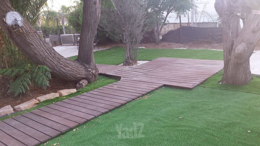 התמר 1
