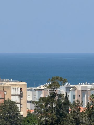 אריה בן אליעזר 