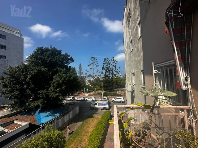 החשמונאים 