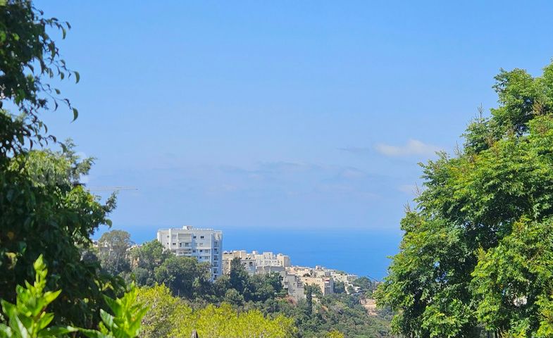 דירת גן