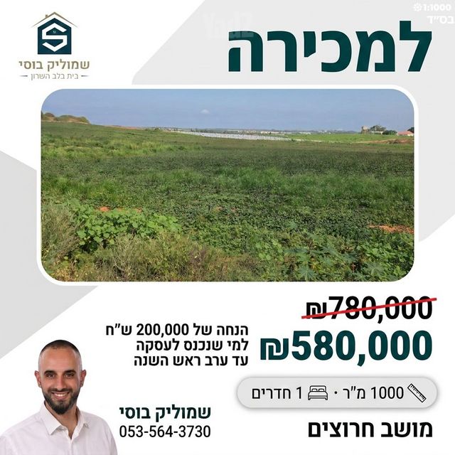 מגרשים